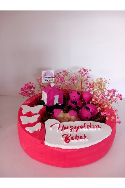 hammade HOŞGELDIN KIZ BEBEK SAKSIDA TERARYUM