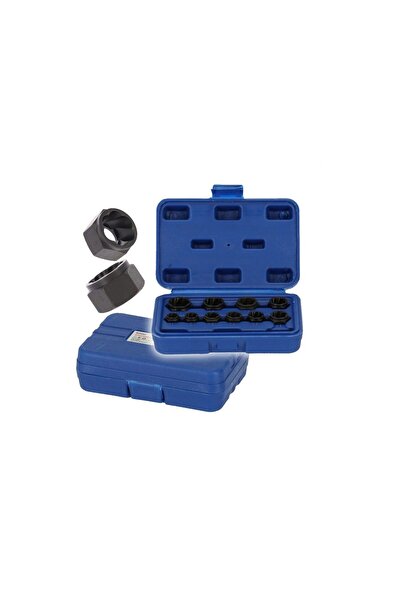 Silver Trusa extractoare suruburi si piulite deteriorate, 11 piese, 9-19 mm,