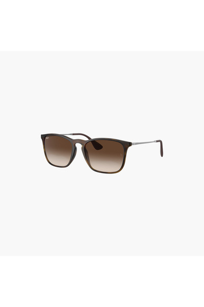 Ray-Ban Men Wayfarer Brown Lens Sunglasses