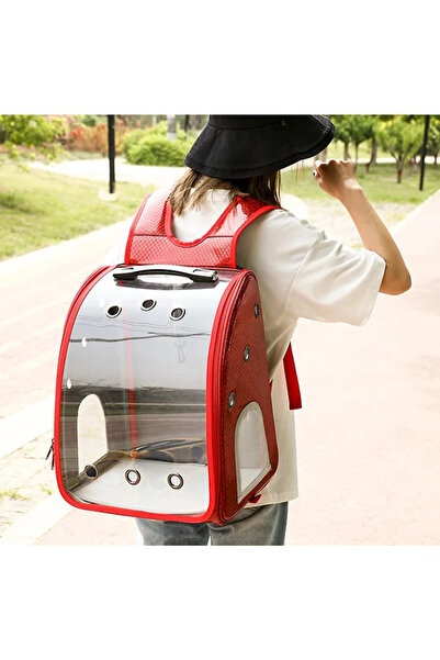 PisiMall Trolley bag for pets, 33 x 27 x 42 cm, red