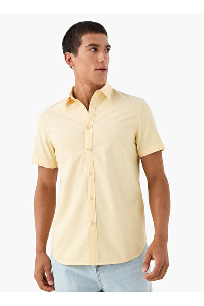 FAV قميص بياقة وقصّة عادية