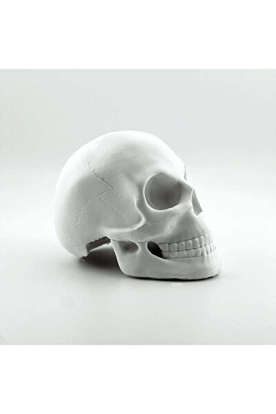 3DMarket Anti-theft Tow Hitch Ornament - Skull V3