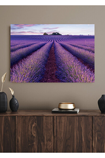 KECİBOMS Lavanta Tarlası Kanvas Tablo