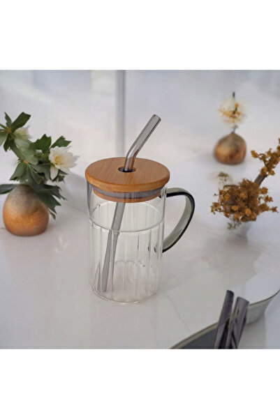 Tohana Bamboo Lid Glass Straw Cup 420 ml