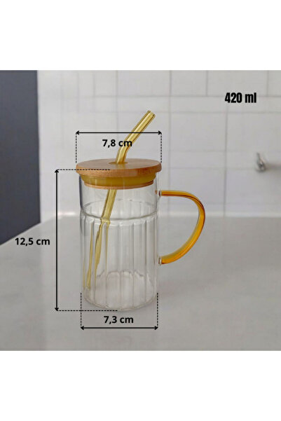 Tohana Bamboo Lid Glass Straw Cup 420 ml