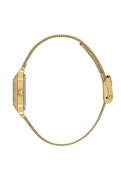 Daniel Klein Dk.1.13945-5 Women's Watch