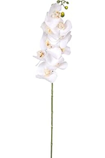 Herdekora Yapay Orkide Gerçek Dokunuş Beyaz 90 Cm.
