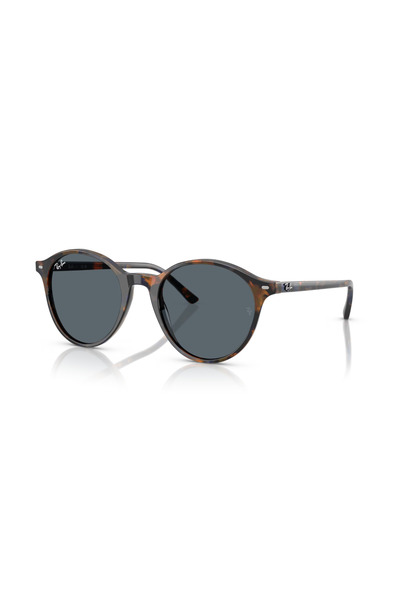 Ray-Ban Rb 2230 1356R5 53 Sunglasses