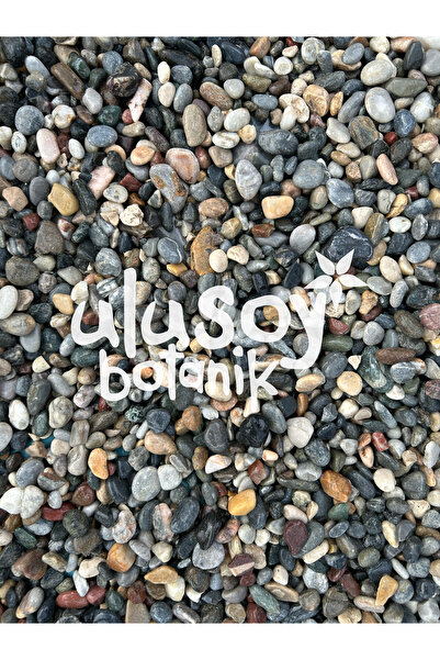 Ulusoy Botanik Dekoratif Çakıl Taşı / Renkli Dekoratif Taş / Bahçe Dekor (1 kg)