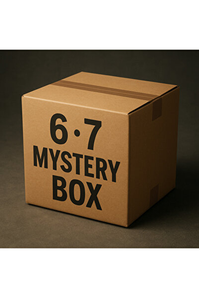 OEM Mystery Box 67 2-5 random products