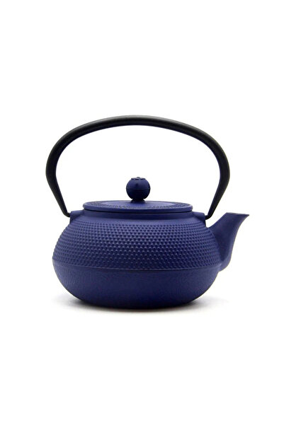 SODELICIOUS COFFEE TEA Japanese Style Blue Cast Iron Teapot (300 Cc)