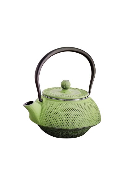 SODELICIOUS COFFEE TEA Japanese Style Green Cast Iron Teapot (300 Cc)
