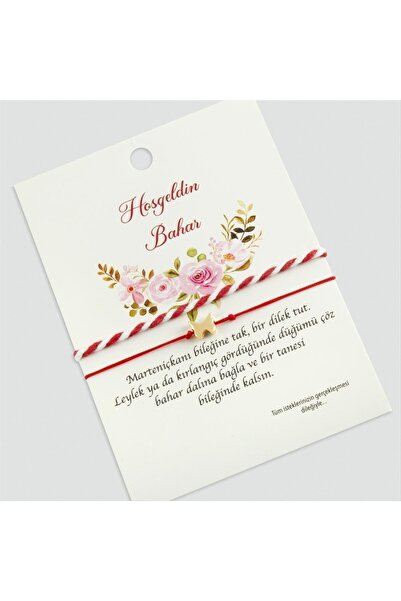 CT STONES 2 Butterfly Martenitska Bracelets