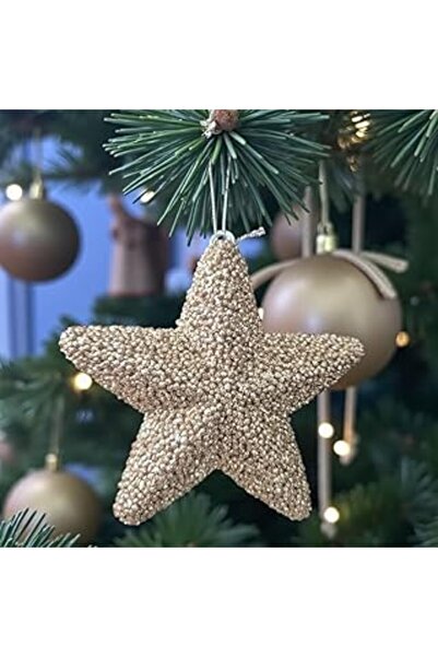Tuncel Store زينة شجرة عيد الميلاد 15 سم نجمة شامبانيا Ast7216