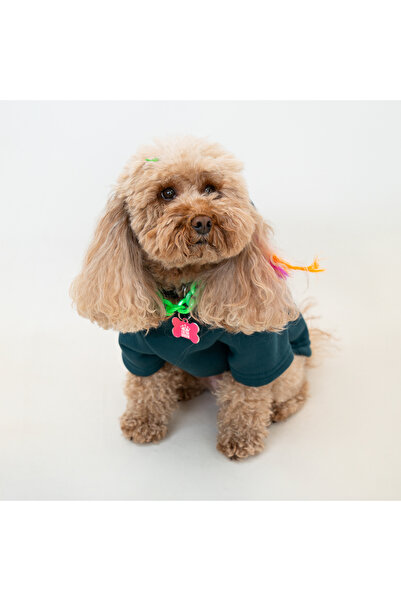 Buddy Store Petrol Green Cat and Dog Outfit - Clothes Sweatshirt Hoodie (Hooded 100% Cotton)