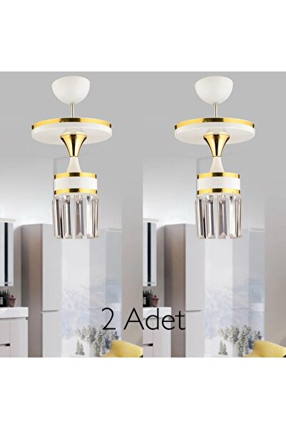 GYK LİGHT ASLI TEKLİ TAŞLI 2 ADET AYDINLATMA AVİZE