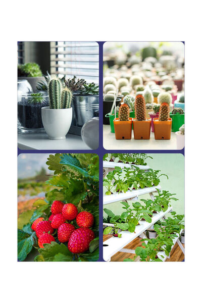 DOMEET Generic 200 LEDs Growing Light Bulb White