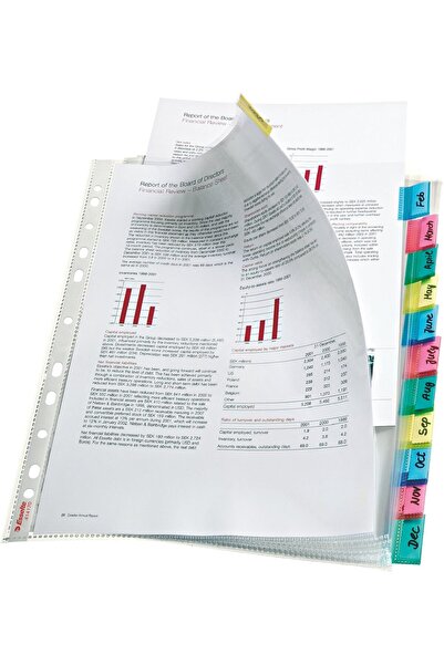 STOREMAX Poşet Dosya Ayraçlı 12 Lİ 414170 1155328