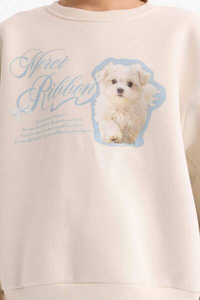 DeFacto Girl's 2-Piece Set Printed Sweatshirt Sweatpants G5571A825Wn