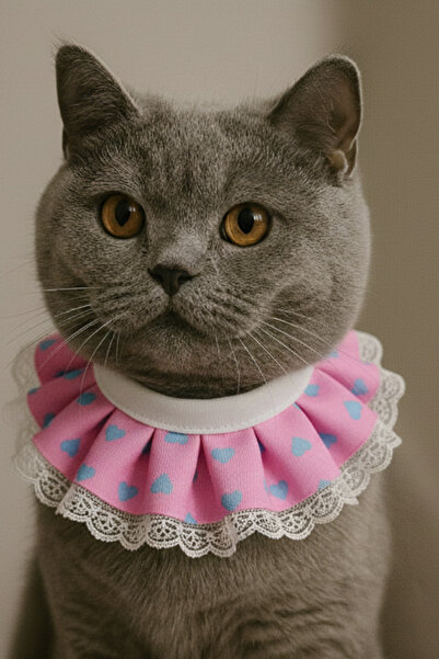 Cocopet Kedi Prenses Yaka Tasma Pembe Kalpli Dantelli