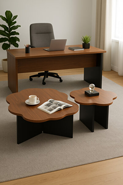 Modern shop Modern two-piece table set with a unique flower design, perfect for living rooms, offices, and cafes.