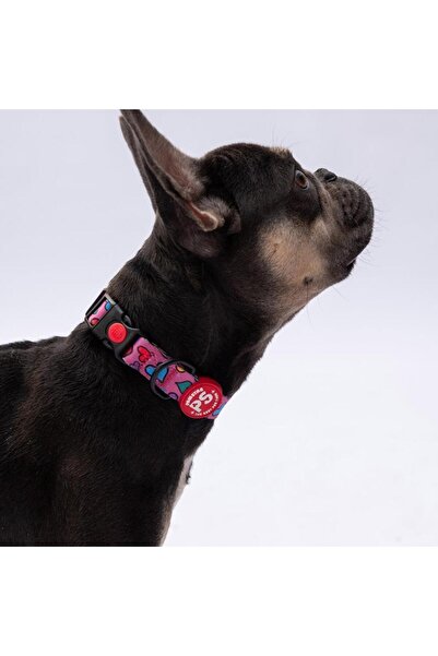 Pawstar Hearts Kalp Desenli Köpek Boyun Tasması Ayarlanabilir Köpek Tasması M...
