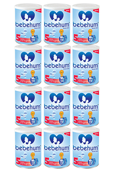 bebehum Teneke 5 Devam Sütü 400 gr 2 Yaş x12 Adet