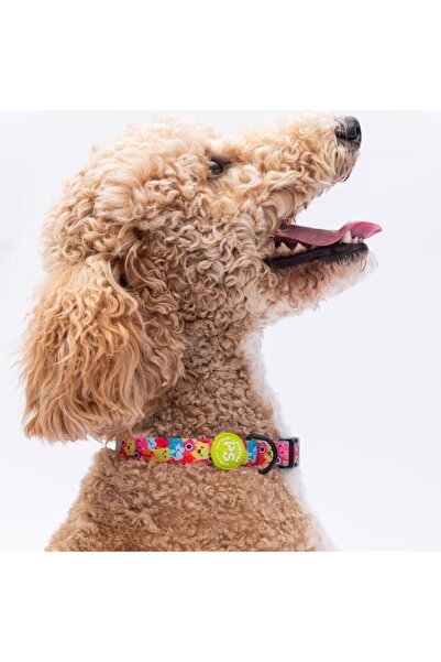 Pawstar Monsters Monster Pattern Dog Collar Adjustable Dog Collar m Size (32-48cm Neck Circumference)
