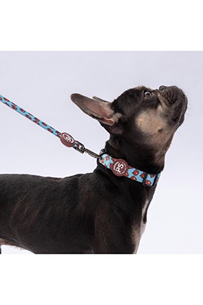 Pawstar Bears Bear Pattern Dog Collar Adjustable Dog Collar m Size (32-48cm Neck Circumference)