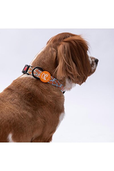 Pawstar Pizza Desenli Köpek Boyun Tasması Ayarlanabilir Köpek Tasması M Size ...