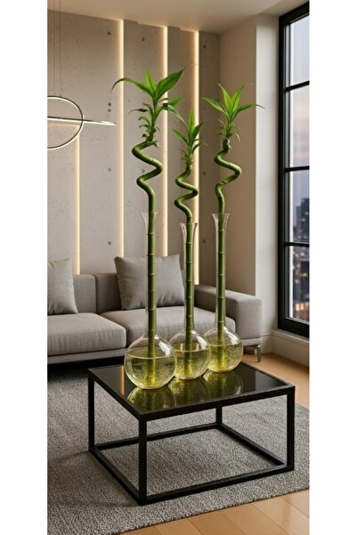 Moonlight Glass BAMBU VAZO ÇAP 12-BOY 40 CM