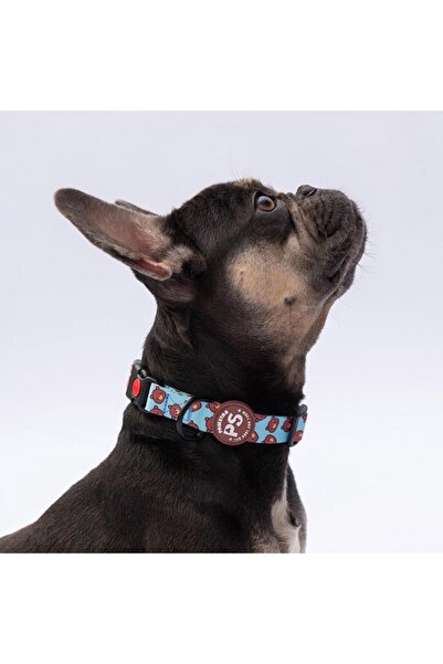 Pawstar Bears Bear Pattern Dog Collar Adjustable Dog Collar m Size (32-48cm Neck Circumference)