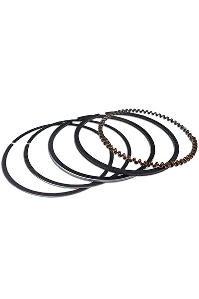 Garden Parts Segmente Honda GX100 diametru 56mm