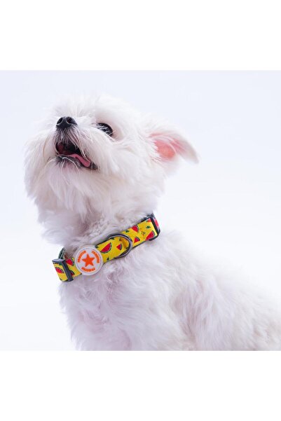 Pawstar Watermelon Karpuz Desenli Köpek Boyun Tasması Ayarlanabilir Köpek Tas...