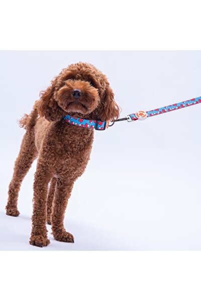 Pawstar Mushroom Pattern Dog Collar Adjustable Dog Collar