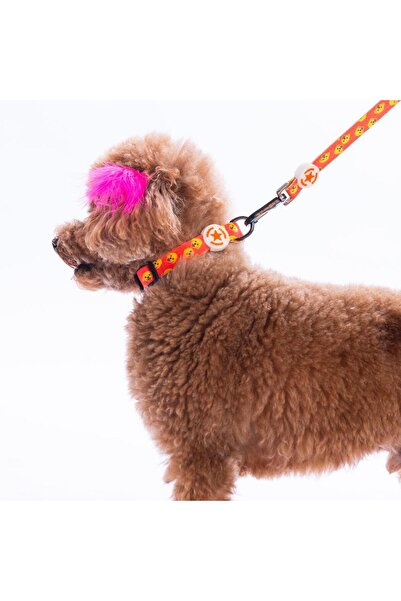 Pawstar Poodle Dog Pattern Dog Collar Adjustable Dog Collar