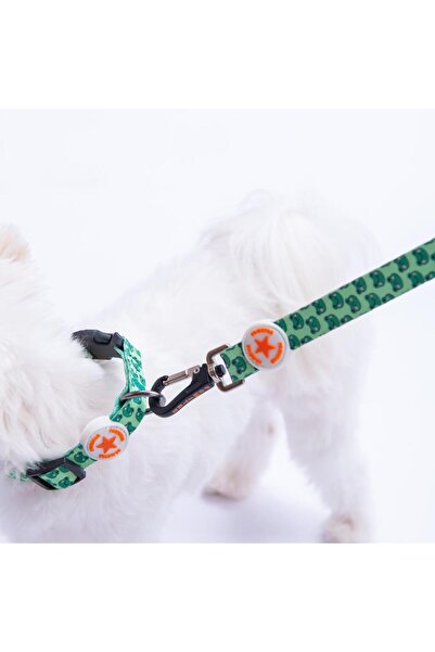Pawstar Frog Frog Pattern Dog Collar Adjustable Dog Collar