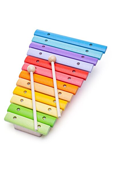 BIGJIGS Toys Xilofon din lemn