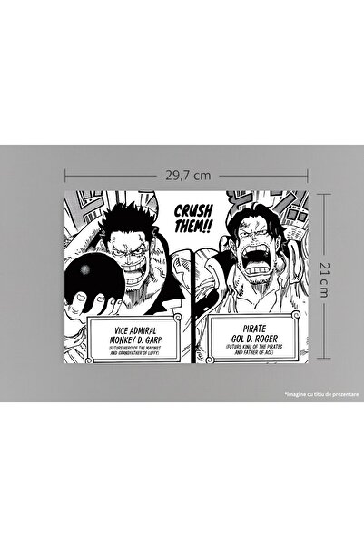 VreauPoster Poster A4 Garp și Roger GodValley One Piece Carton 250gr