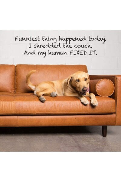 Coconix black leather repair and restoration kit for car upholstery, sofas and jackets