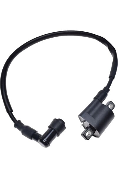 WM Bobină de inducție ATV Shineray XY250ST-4B