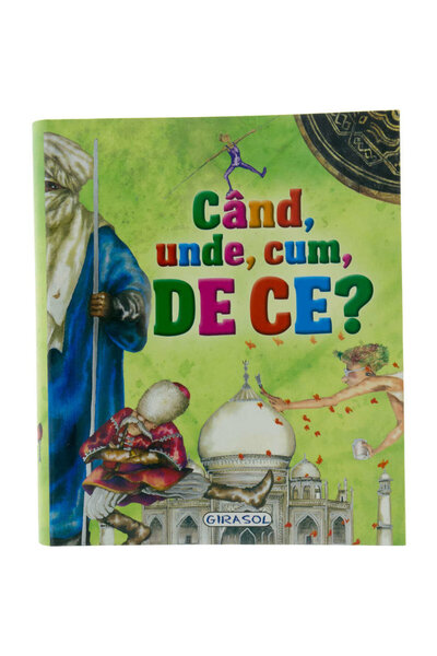 GIRASOL Cand, unde, cum, de ce….?