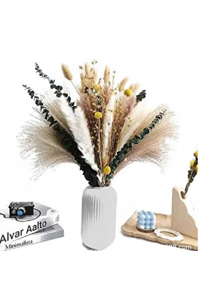 NKX عشب البامباس المجفف الطبيعي لتنسيق الزهور وديكور المنزل باللون الأبيض