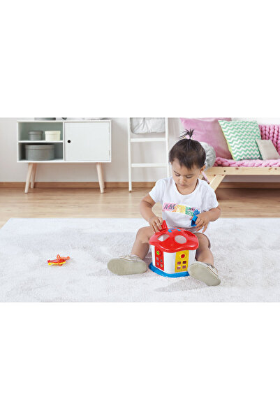 Dolu Sorting game - Little house with keys