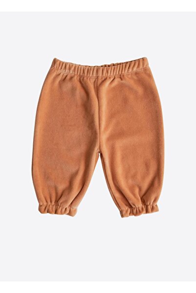 kitikate Organic Mushroom Set of 2 Orange