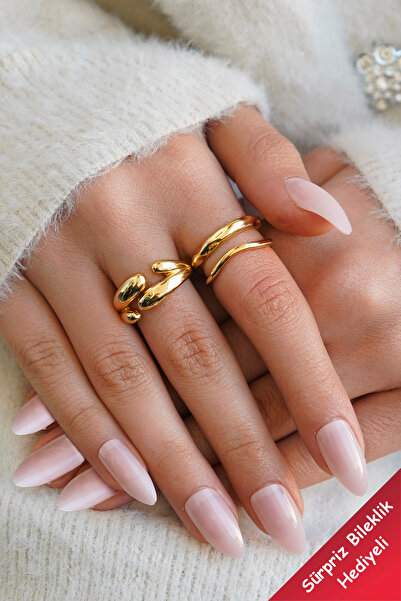 The Collection Set of 2 Modern Curved Vintage and Double Row Form Vip Gold Rings
