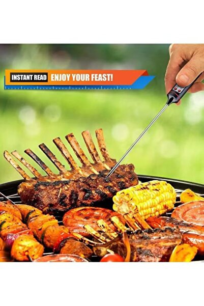 Generic Digital Meat Cooking Thermometer, Black/Silver, 5.9 inches