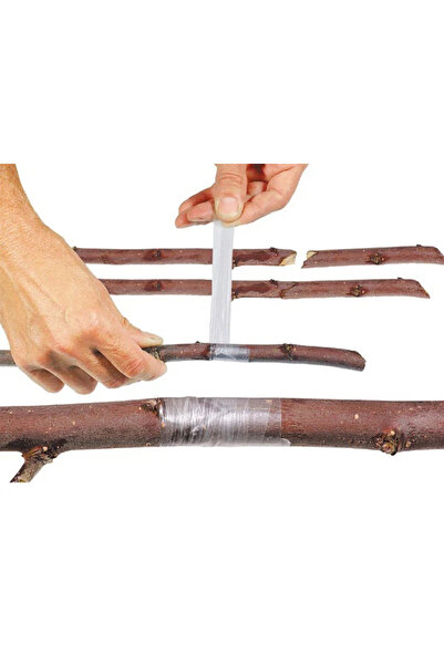 MaffStuff Transparent Grafting Tape 2 cm × 100 m – Fruit Trees