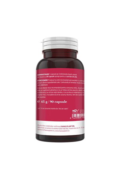 Faunus Plant Vitaminizantus Forte - Multivitamin & Mineral Capsules, 90 capsules