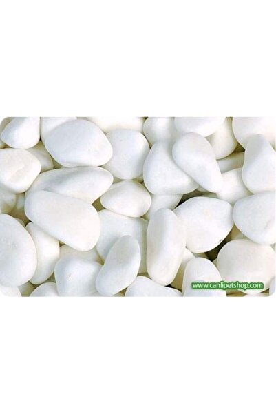 canlipetshop Saksı Üstü Yeşerme ve Küf önleyici Dogal Çözüm 10 MM Beyaz çakıl...